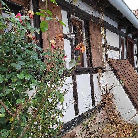 Petite Maison Alsacienne إنتزيم المظهر الخارجي الصورة